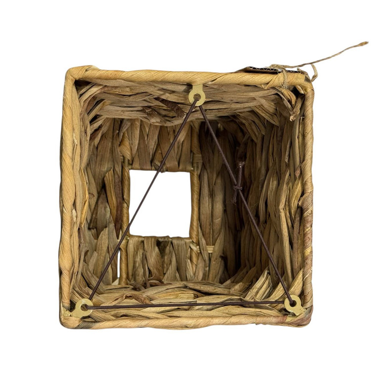 سوان.۲۹۹.۱۱۸